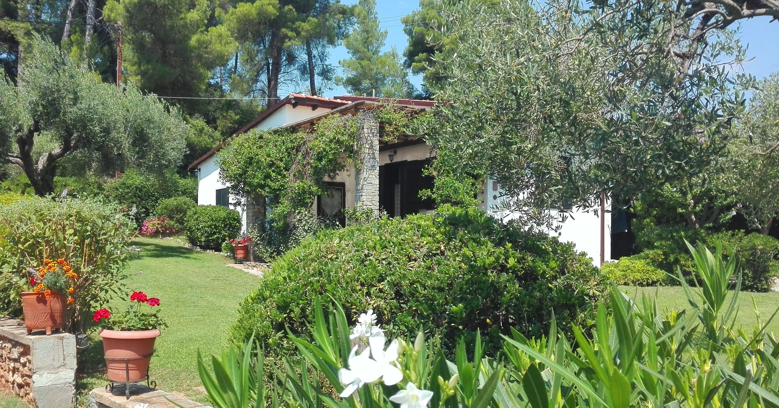 Villa Pigadi